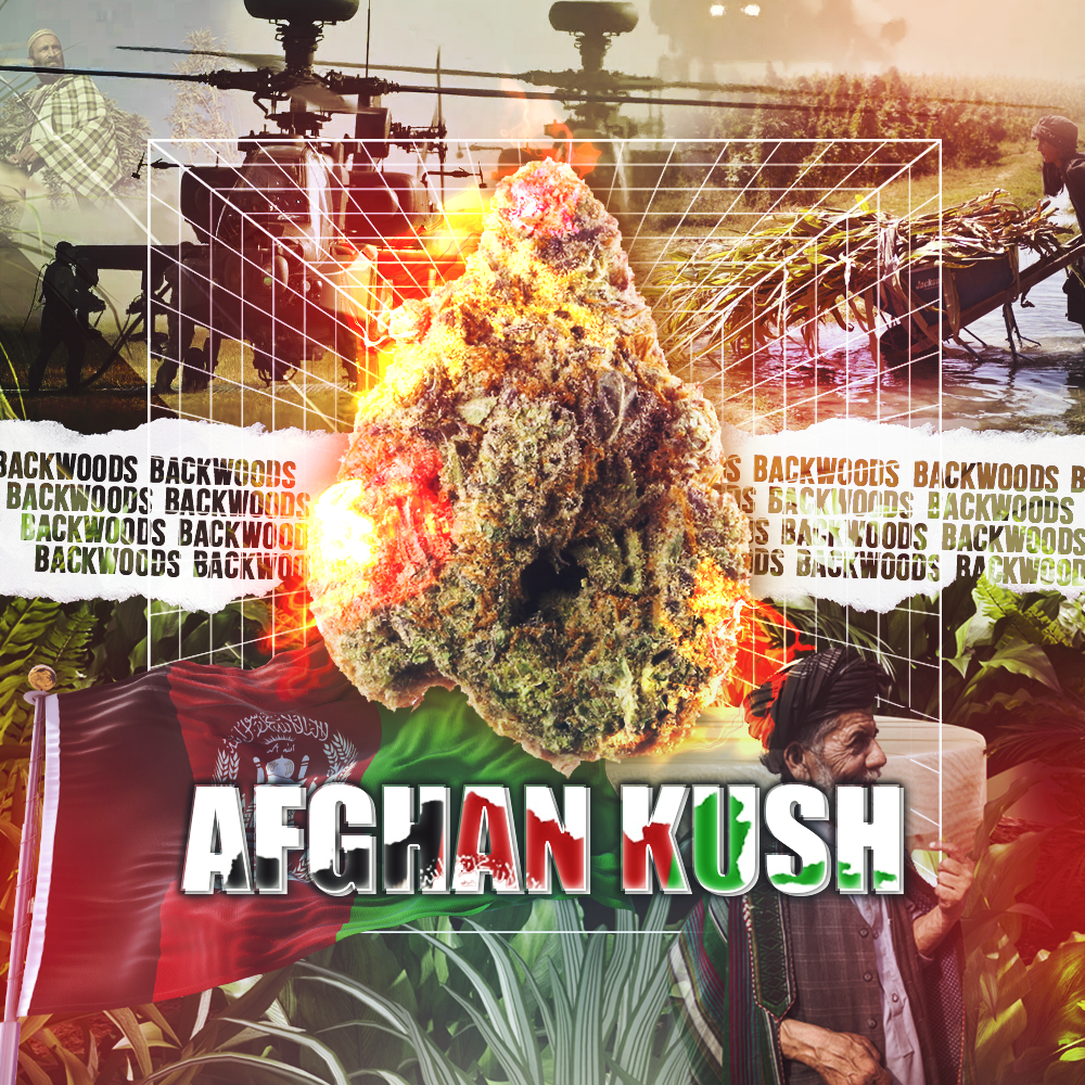 ☠️ Шишки Гидропоника « AFGHAN KUSH » 🌲