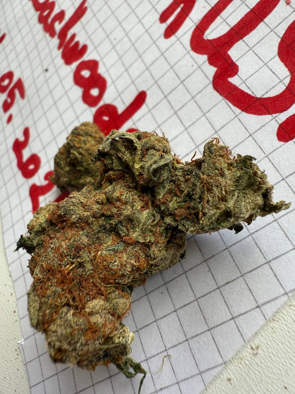 Миниатюра Orange Punch