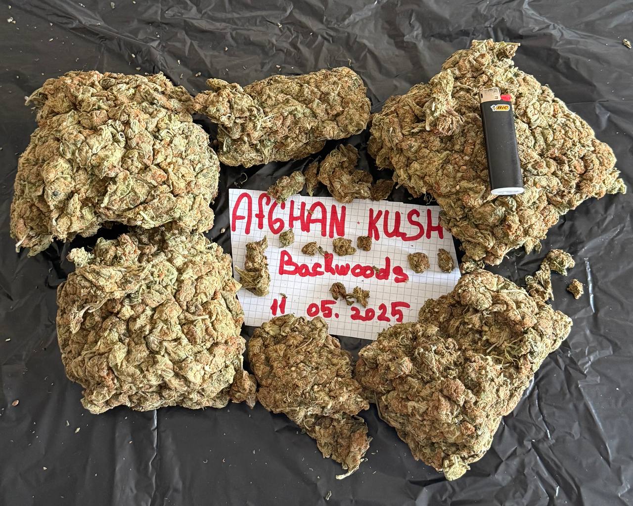 Миниатюра Orange Punch