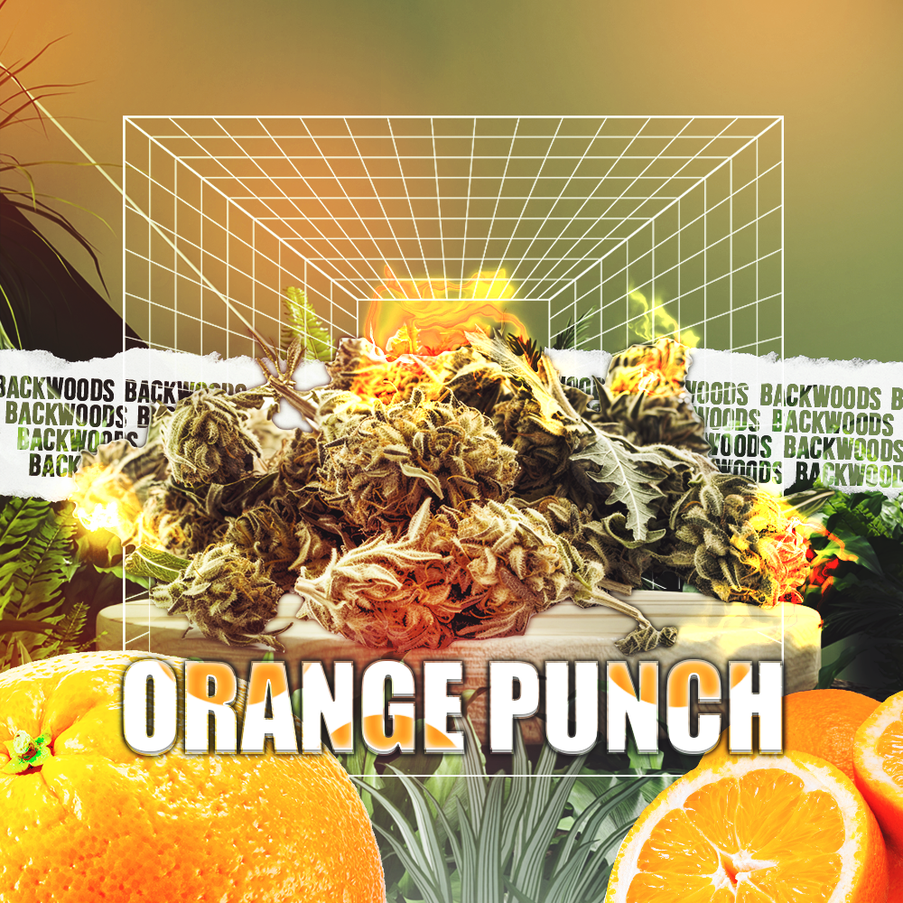 Orange Punch