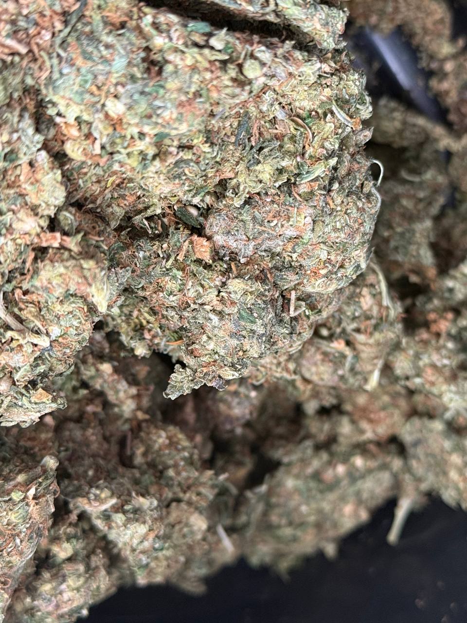 Миниатюра Orange Punch